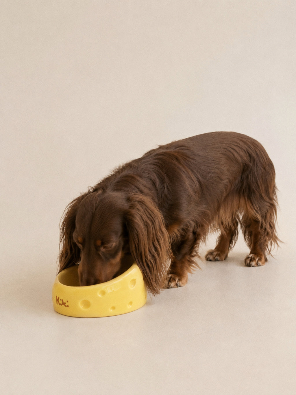 Kiki Big-eared Dog Bowl
