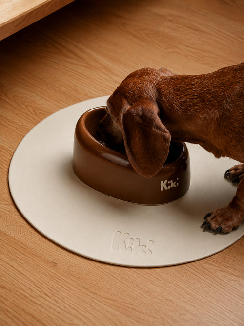 Kiki Big-eared Dog Bowl